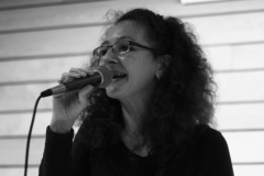 Karine de Lille