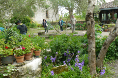 P1240951